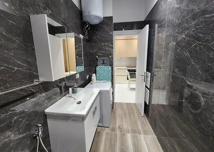 公寓 Center Unit For Rent 地拉那
