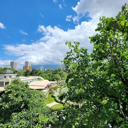 Center Unit For Rent