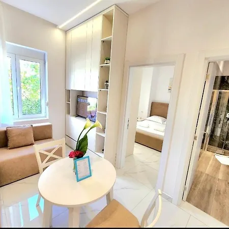 Center Unit For Rent Tirana